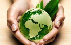 consegna-green-sostenibilità
